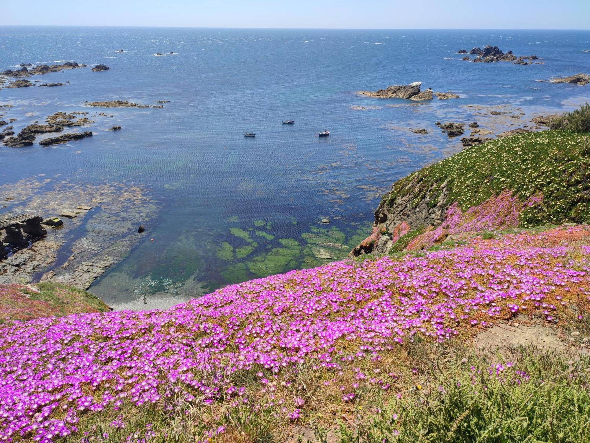 Penare Terrace In Penzance Daire Dış mekan fotoğraf