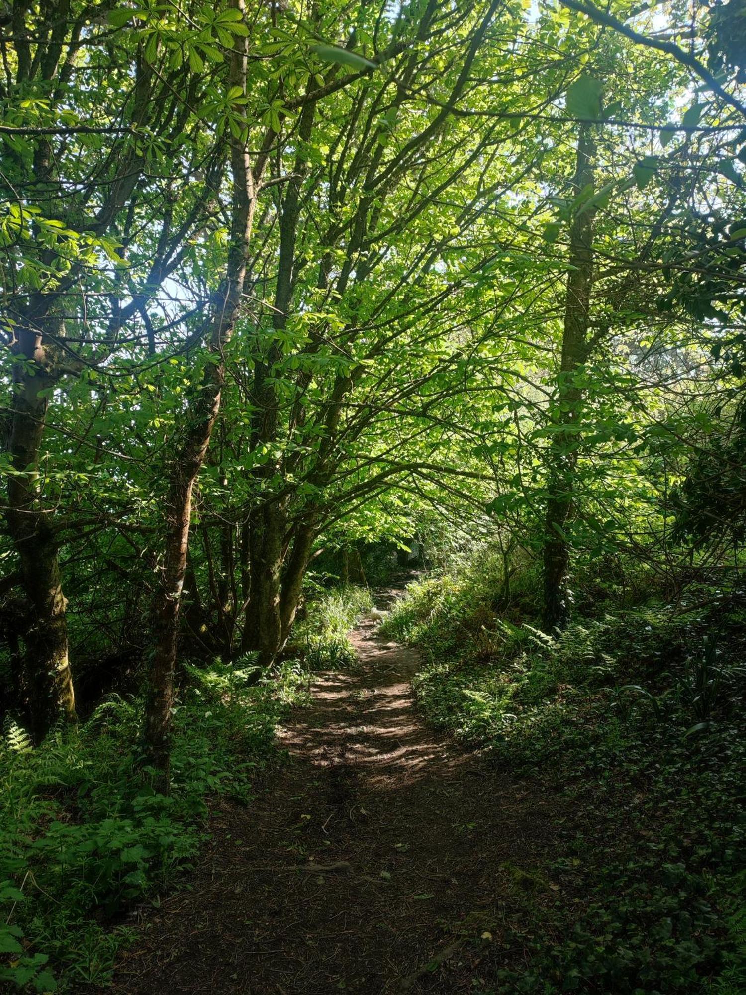 Penare Terrace In Penzance Daire Dış mekan fotoğraf